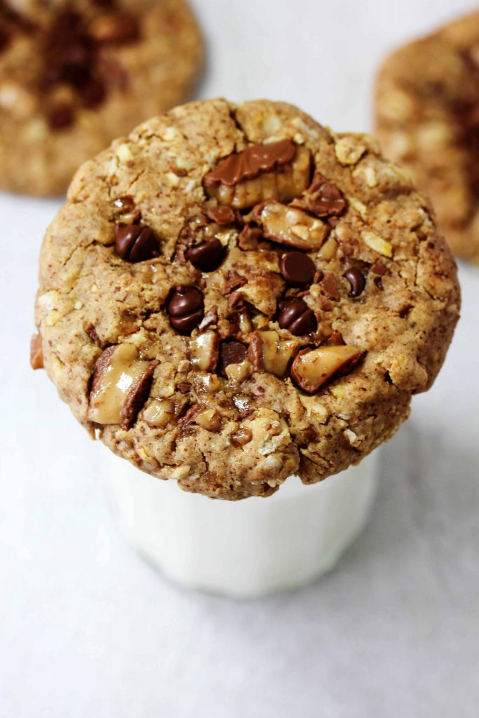All you need is a handful of ingredients and 1 bowl to make these ultra chewy Toffee Oat Chocolate Chip Cookies! They're high in protein, low FODMAP, vegan, and gluten free! This recipe is so perfect for everyone - you'll want to make them today!