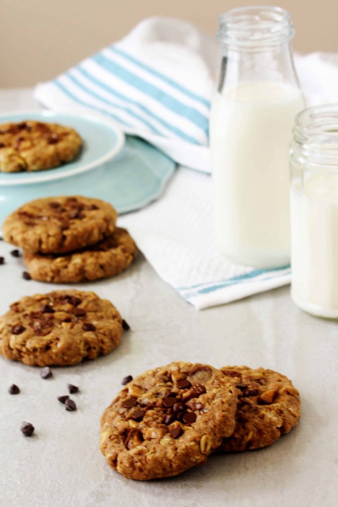 All you need is a handful of ingredients and 1 bowl to make these ultra chewy Toffee Oat Chocolate Chip Cookies! They're high in protein, low FODMAP, vegan, and gluten free! This recipe is so perfect for everyone - you'll want to make them today!